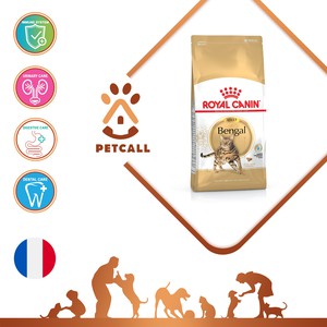 غذای خشک رویال کنین گربه بنگال (Royal Canin Bengal Adult)