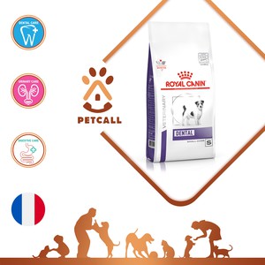 غذای خشک رویال کنین سگ دنتال (Royal Canin Dental Care)