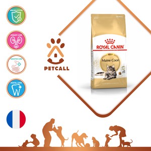 غذای خشک رویال کنین گربه مین کون (Royal Canin Maine Coon Adult Cat)