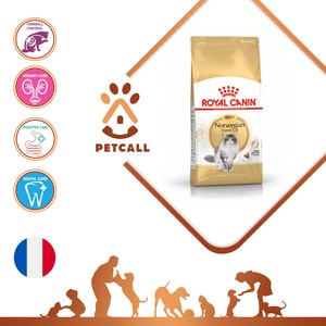 غذای خشک رویال کنین گربه نروژی (Royal Canin Norwegian Forest Cat)