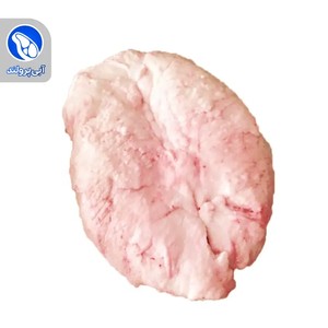 دنبه گوسفندی