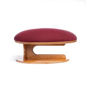 بالشتک پایه دار