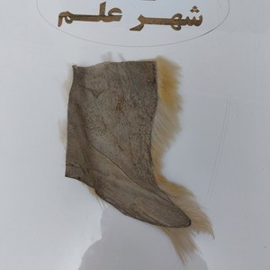 پوست گوسفند
