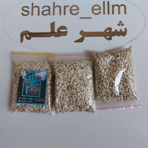 کوشه (کافشن)