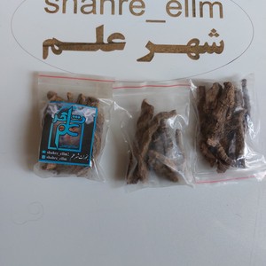 قصب الزریره