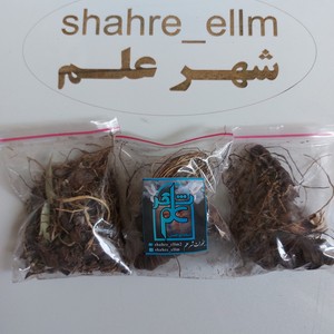 ریشه اریسا