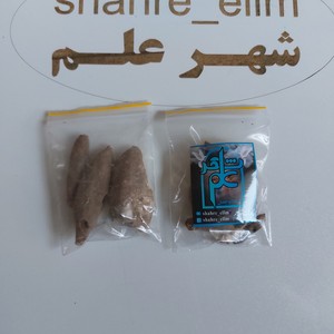 عود صلیب