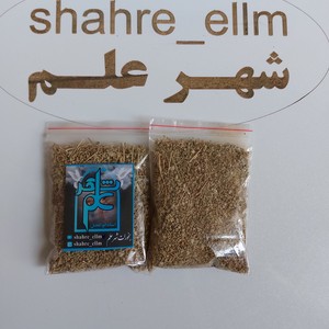 شیح