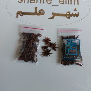 نجمه البحر