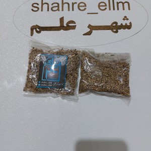 تخم اسفناج