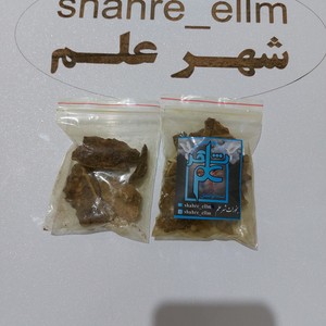 عود قماری