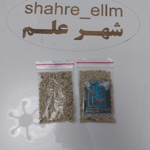 فلفل سفید