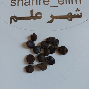 تمر جماحم
