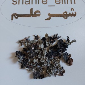 شایب