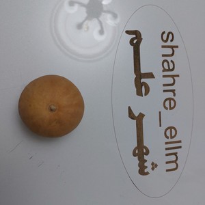 هندوانه ابوجهل
