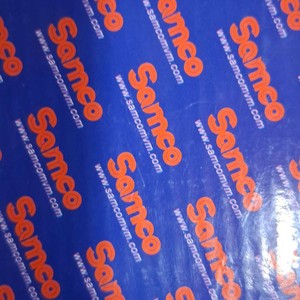 لنت جلوی جیلی سواری