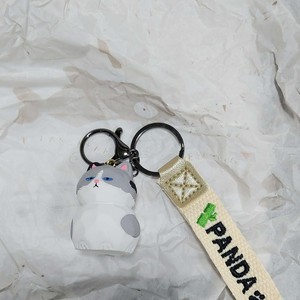 جاسوئیچی رزینی گربه مغرور