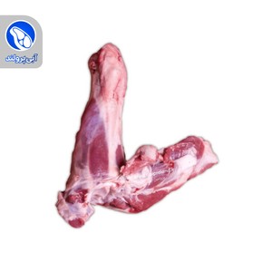ماهیچه گوسفندی