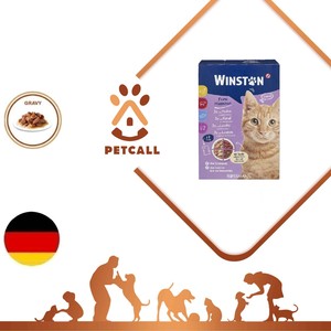 پوچ وینستون گربه در سس (Winston)