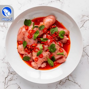 جوجه کبابی ران با استخوان ترش گیلانی