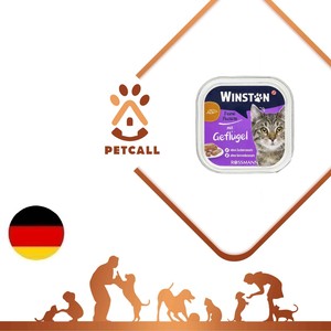 ووم وینستون گربه طعم مرغ (Winston With chicken)