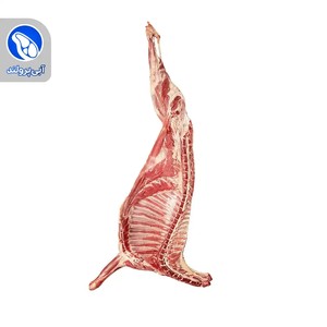 شقه گوسفندی