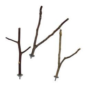 نشیمنگاه پرنده مدل چوبی طرح شاخه مناسب طوطی و پرندگان زینتی