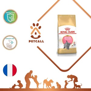 غذای خشک رویال کنین گربه بریتیش کیتن (Royal Canin British Shorthair Kitten)
