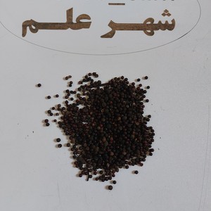 کبابه