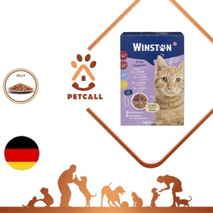 پوچ وینستون گربه در ژله (Winston)