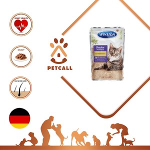 پوچ وینستون گربه سنیور (Winston Senior)