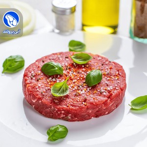 برگر مرغ دست ساز آمریکایی