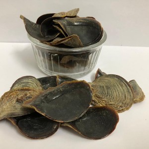 ناخن جن (اضافرجن)اصل