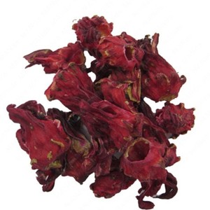 گیاه چای ترش