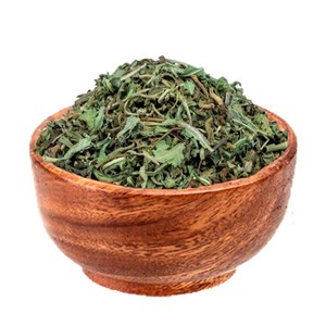 برگ کاسنی