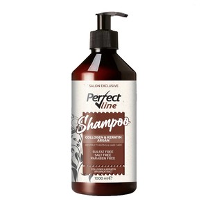 شامپو ترمیم کننده پرفکت لاین مدل ARGAN & KERATIN حجم 1000 میل