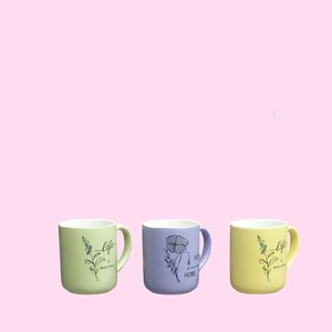 ماگ سرامیکی گل کیفیت معمولی (بدون جعبه )