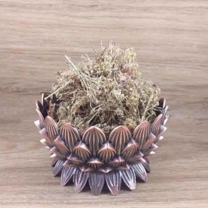 چای کوهی