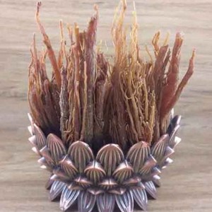 ریشه جنسینگ قرمز کره ای